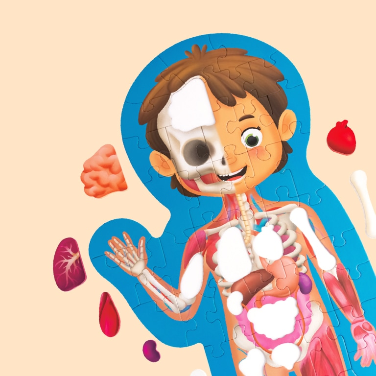 Human Body Puzzle