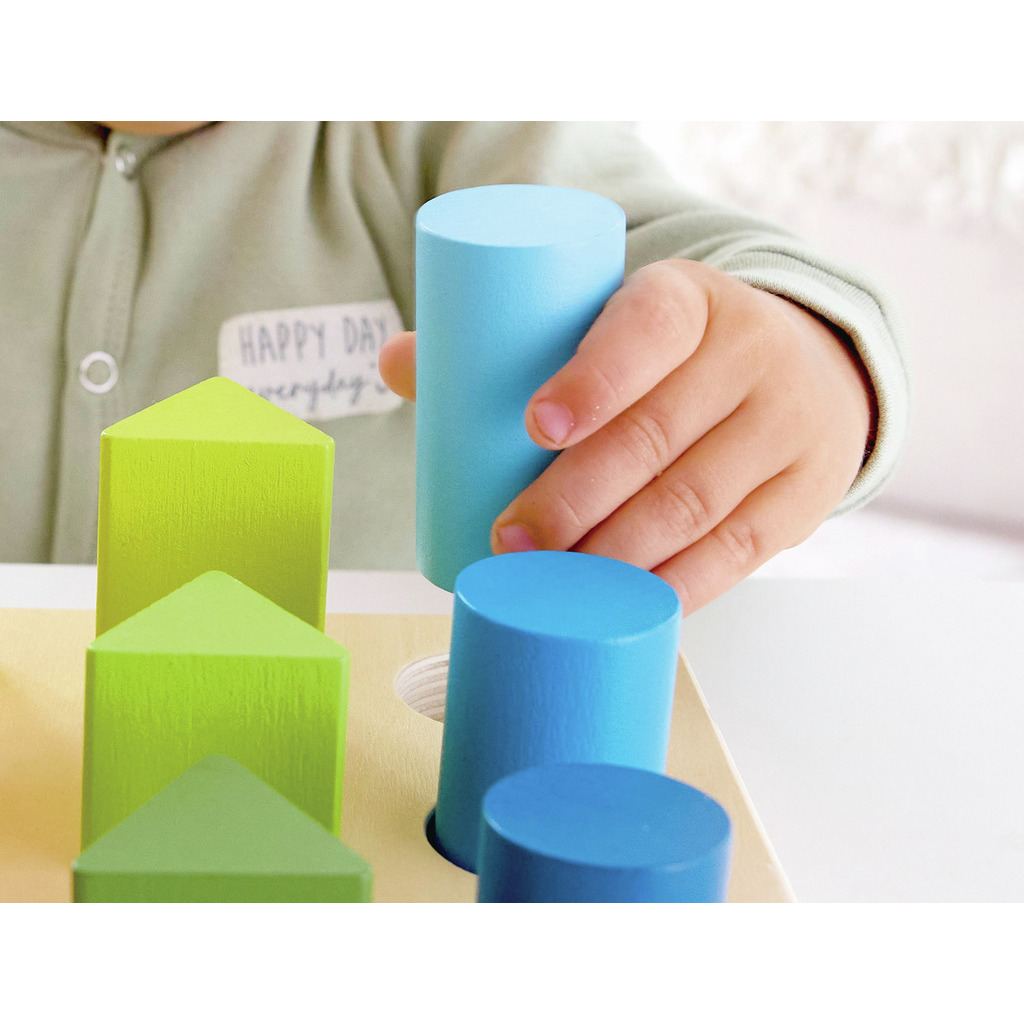 Color and Shape Sorter Color and Shape Sorter