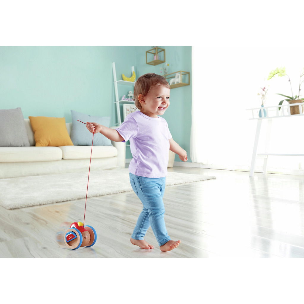 Pull along Bird Pull along Bird