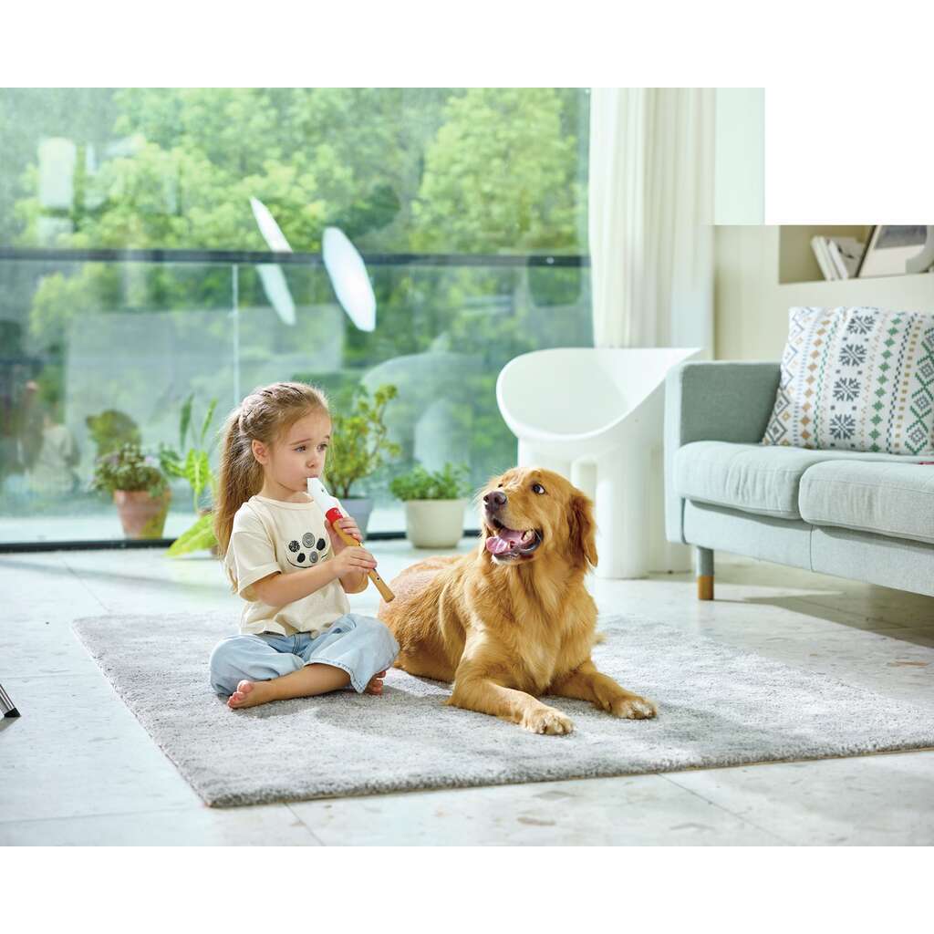 Musician's Starter Recorder Musician's Starter Recorder