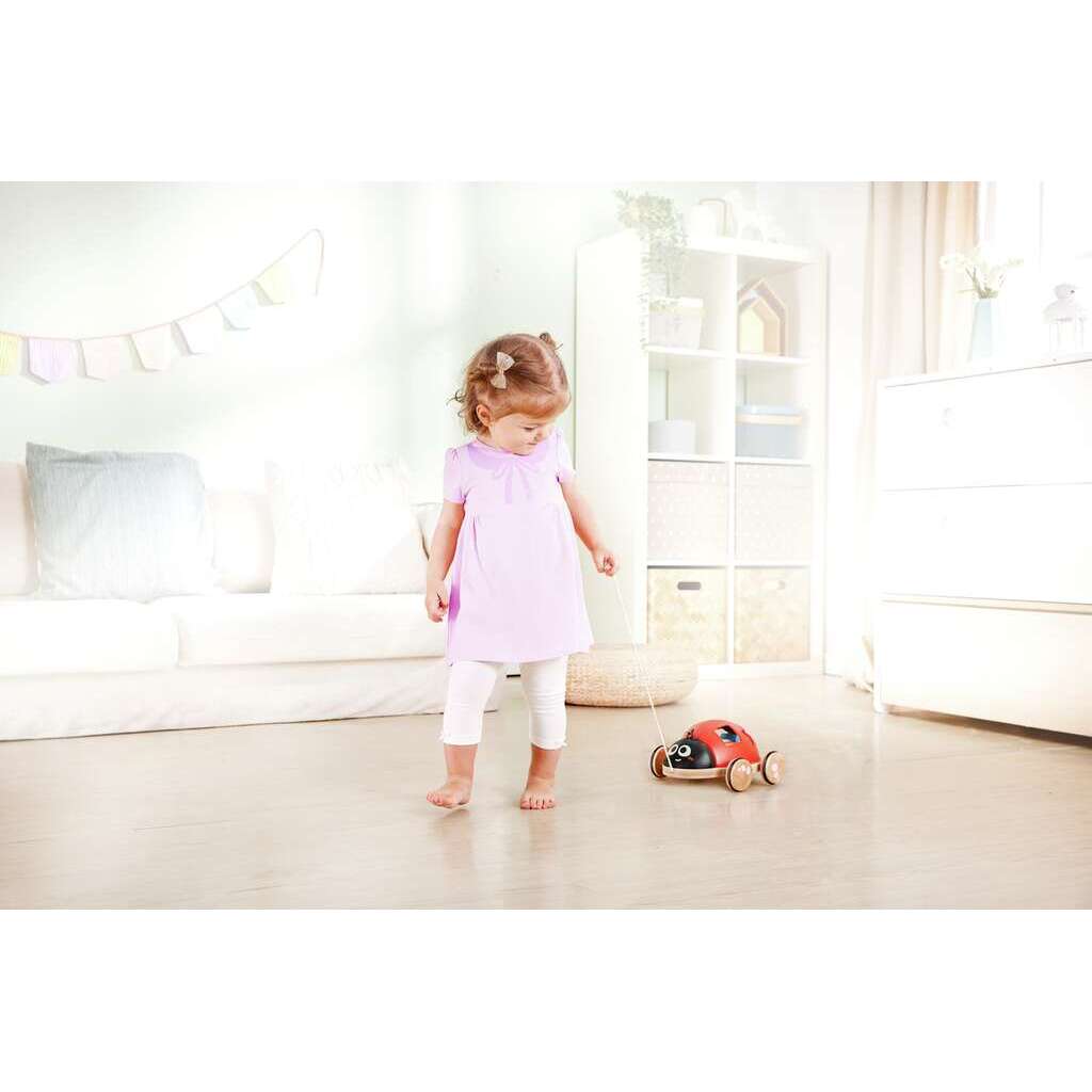 Shape-Sorter Ladybug