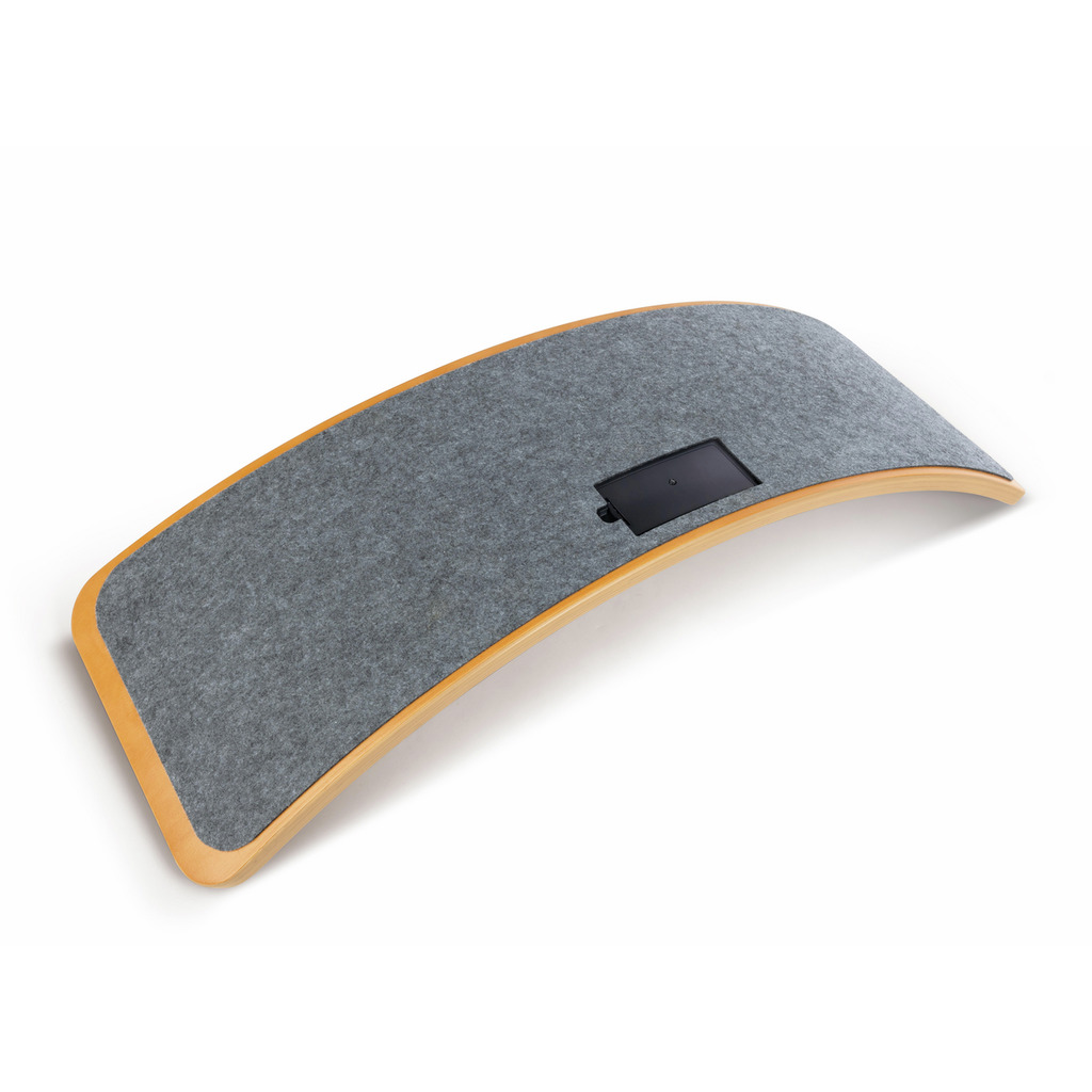 Intelligent Balance Board Intelligent Balance Board