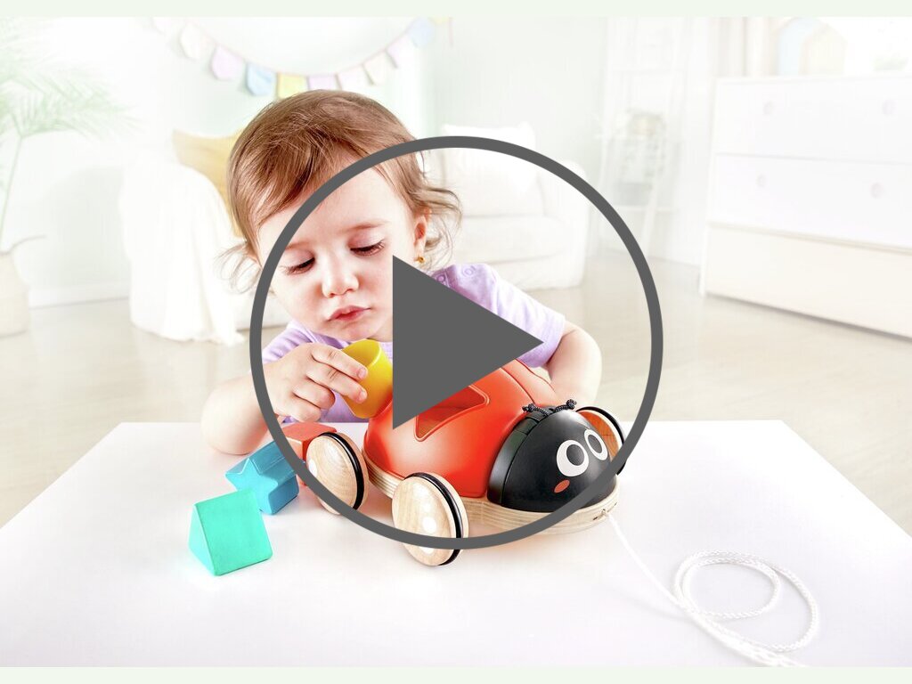 Shape-Sorter Ladybug Shape-Sorter Ladybug