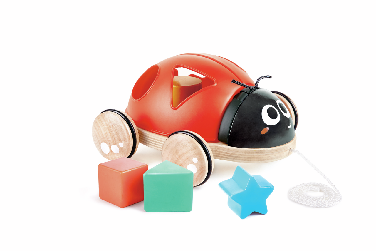 Shape-Sorter Ladybug